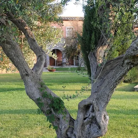 Le Ginestre
